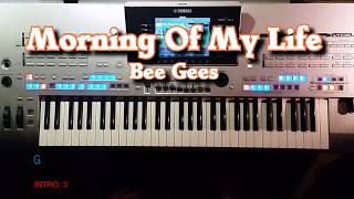 Morning Of My Life  Bee Gees Cover eingespielt mit titelbezogenem Style auf Tyros 4 [upl. by Elwira191]