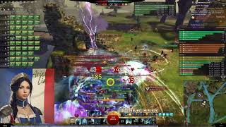 GOOO alliance raid 030924  Support Willbender wvw zerg [upl. by Llerrit558]