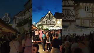 Weinfest Zeil am Main 2022 5 [upl. by Ellie259]