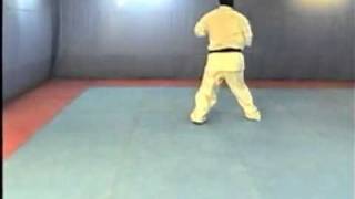 Kyokhshin Karate Katas Forms  Matsushima Style by Shihan Khoshi [upl. by Oznola101]