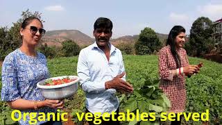 Best Budget Agro Tourism Resort in Tapola Mahabaleshwar  Home Cooked Farm Fresh Vegetables [upl. by Chadd]