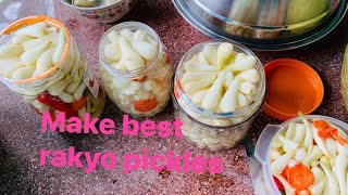 HOW TO MAKE THE BEST RAKYO PICKLES [upl. by Haerr]