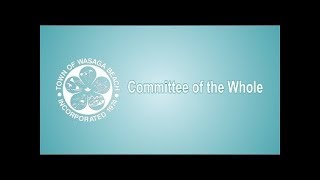 Committee of the Whole  July 6 2018 [upl. by Zeuqcaj]