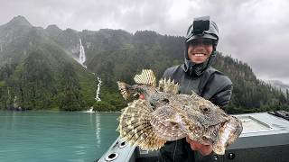 600 mi Alaska Road Trip  Eating What I Catch [upl. by Ahsatniuq]