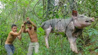 Primitive Technology Build Pig Trap and Roasted Big Pig Eating Delicious [upl. by Enirahtac]