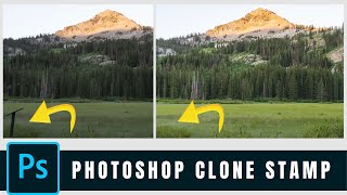 Lightroom Editing Workflow Tutorial Using the Photoshop Clone Stamp Tool [upl. by Miguel]