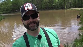 FLOOD AFTERMATH DAMAGED POND DAM Visit with the goatschickens and thoughts on food plots [upl. by Siffre]