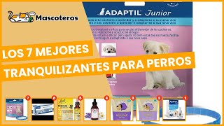 Los 7 mejores tranquilizantes para perros [upl. by Ramal]