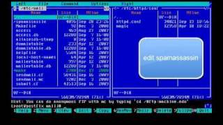 Setup Postfix Spamassassin Clamav Filter Quick amp Simple [upl. by Nnateragram]