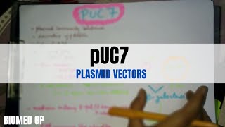 Plamid vectors pUC7 [upl. by Anaejer]