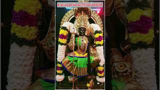 Samayapuram Mariyamman Temple mariyammal devotional trending tamildeity samayapurammariamman [upl. by Carlee]