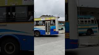 Bluebus Udangudi TNSTC udangudi thuthukudi tiruchendur bluebus bustravelsbus tnstcbusvideo [upl. by Dyol296]