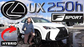 2023 Lexus UX 250h F Sport This Or The Toyota RAV4 Hybrid [upl. by Fugere329]