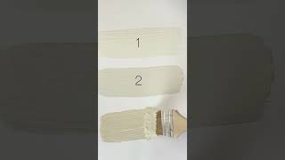 3 Popular Neutral Paint Colors by Sherwin Williams Alabaster Maison Blanche and Accessible Beige [upl. by Jed255]