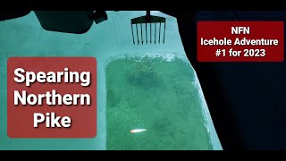 Icehole Adventure Spearing Pike Ice Fishing 2023 with NFN [upl. by Calendre]