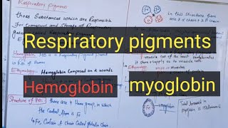 Respiratory pigmentsHemoglobinmyoglobinpashto detail lectures [upl. by Edric]