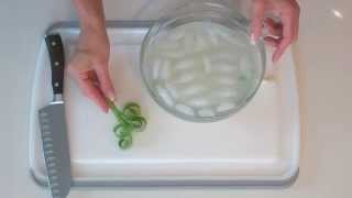 How to Make a Scallion Curl Garnish  Savor the Flavors with Brittany Allyn [upl. by Brenner4]