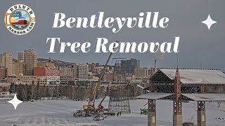 Bentleyville Tree Removal [upl. by Zilevi103]