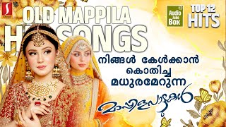 Mappilapattukal  Golden Hits Of Eranholi Moosa  Malayalam Mappila Songs  Audio Jukebox [upl. by Yesmar]