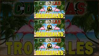 VIEJITAS TROPICALES MIX🦜LOS KARKIS ACAPULCO TROPICAL TROPICAL FLORIDA🎺CUMBIAS TROPICALES 2024 [upl. by Eerehs]