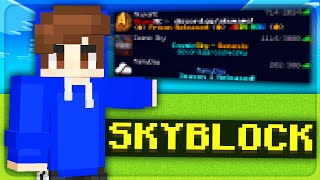 Top 3 Minecraft Skyblock Servers To Play As Of FallAutumn 2024 [upl. by Naahsar]