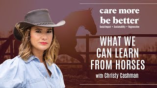 What We Can Learn From Horses With Christy Cashman [upl. by Past]