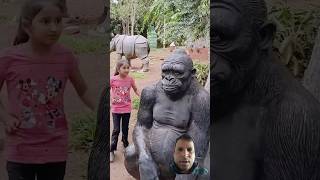 Clean gorilla stachu face animals monkey gorilla cute zoo funny [upl. by Enialedam476]