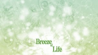 ahisa  Breeze of Life [upl. by Ecyar]