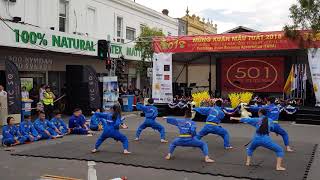 Vovinam at Footscray Lunar New Year Festival  TET 21012018 [upl. by Leunamesoj834]