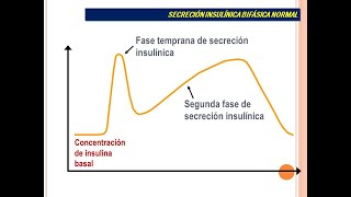 Secreción de Insulina [upl. by Anirb]