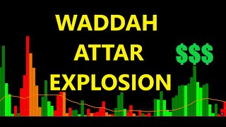 How I Trade With The WAE Indicator  Waddah Attar Explosion Explained [upl. by Richma]