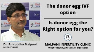 The donor egg IVF option [upl. by Stern]