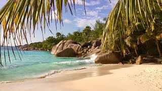 Seychelles Islands Praslin Island 4K [upl. by Lotus67]