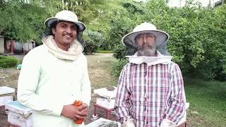 Beekeeping as hobby Madhya pradesh India Deepak Baghel IITB Alumni  मधुमक्खी पालन [upl. by Madelon]