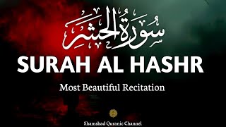 Surah Al Hashr Most Beautiful Recitation سورۃ الحشر Mohamed Elfakeh  Shamshad Quranic Channel [upl. by Acirret]