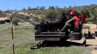 Hellenic AA guns Mk20 Rh202 firing [upl. by Caddric]