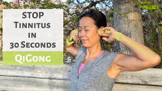 STOP TINNITUS IN 30 SECONDS  QIGONG  TCM [upl. by Candi]