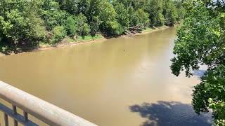 Bobby Gentry Tallahatchie Bridge Ode to Billy Joe [upl. by Pearle]