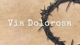 VIA DOLOROSA  LYRICS [upl. by Pfosi]