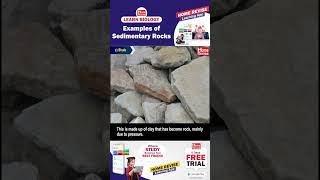 Examples of sedimentary rocks  Conglomerate  Sandstone  Shale  Limestone  Dolomite [upl. by Hola]