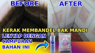 CARA DAHSYAT MEMBERSIHKAN KOTORAN MEMBANDEL DI BAK MANDI [upl. by Enaed]