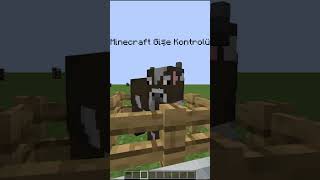 Minecraft Gişe Kontrolü minecraft java keşfet fyp viralshorts [upl. by Nahs684]