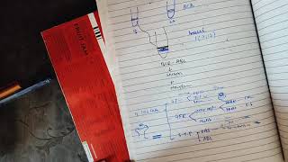 Carcinogenesis part 3 neoplasia pathology robbins generalpathology mbbslectures [upl. by Kenny145]