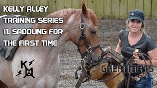 How to Introduce a Horse to Saddling  Horse Training Series 11 [upl. by Ednew463]