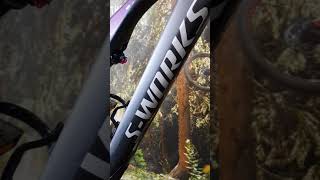 2019 SWorks Turbo Levo [upl. by Drawe]