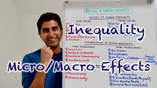 Income Inequality  MicroMacro Effects  Perfect Paper 3 Revision AQAEdexcel [upl. by Ecikram]