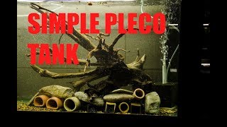 How to set up a basic Pleco breeding tank Hypancistrus Breeding [upl. by Stannfield]