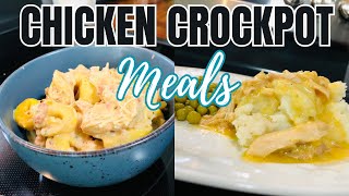 Cheap amp Fancy Crockpot Dinners  The EASIEST Tasty Slow Cooker Recipes  Simple Recipes [upl. by Fernandina672]