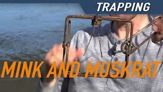 CONIBEAR TRAP FOR MINK AND MUSKRAT  Hunters Connect [upl. by Davon637]