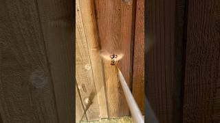 Fence Staining in Arlington Texas Viridian neighborhood with Pecan fence staining e [upl. by Marsh366]